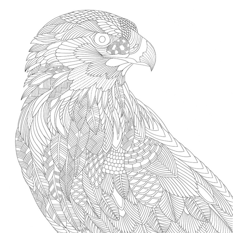 Kleurboek Millie Marotta - Wonderlijke wildernis