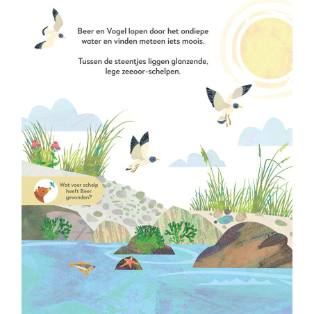 Beer en Vogel verkennen de kust