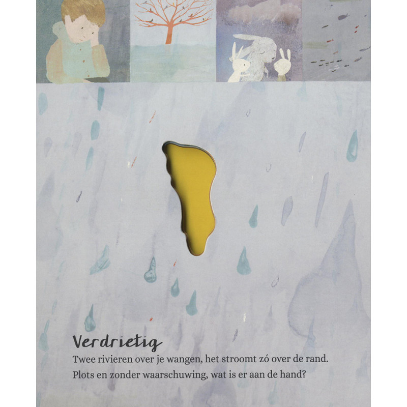 In mijn hart en in mijn hoofd… Mijn gevoel