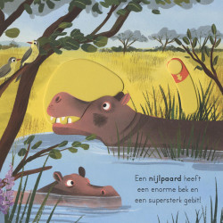 Op safari - voor kleine ontdekkingsreizigers