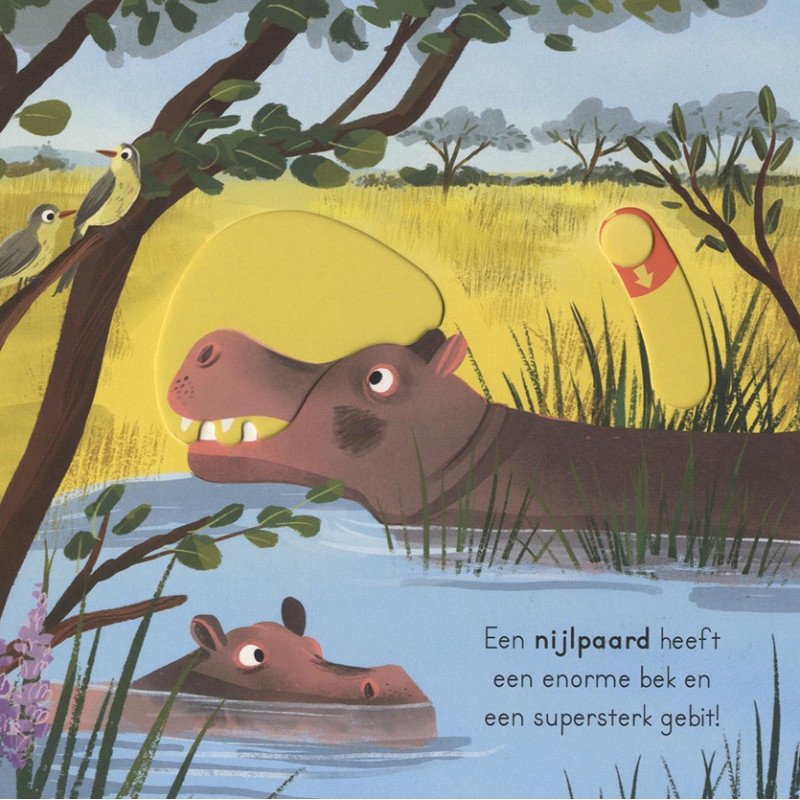Op safari - voor kleine ontdekkingsreizigers