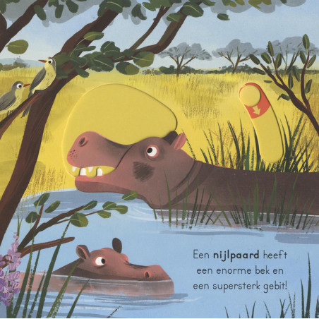 Op safari - voor kleine ontdekkingsreizigers