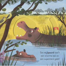Op safari - voor kleine ontdekkingsreizigers