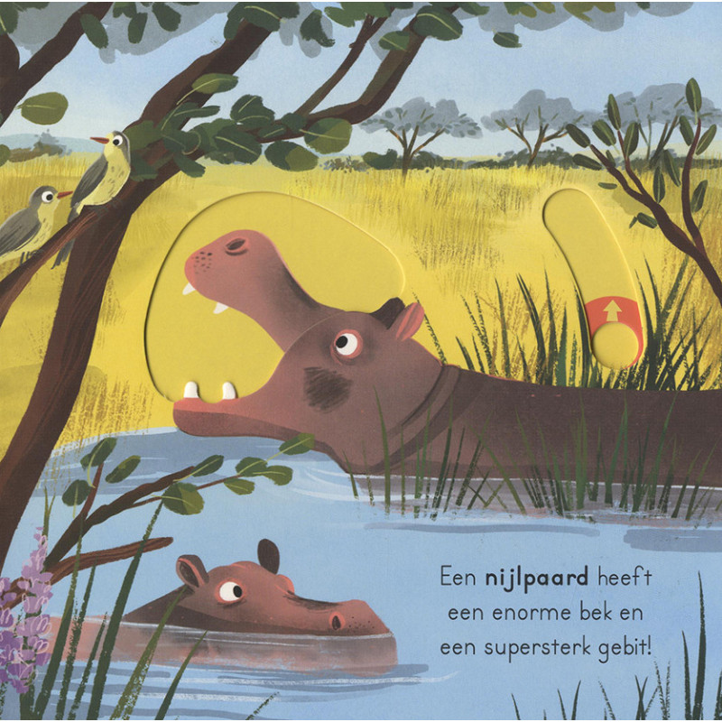 Op safari - voor kleine ontdekkingsreizigers