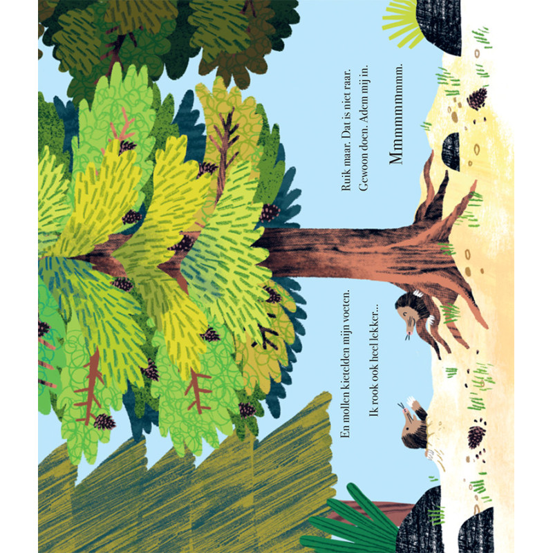 Toen ik nog een boom was