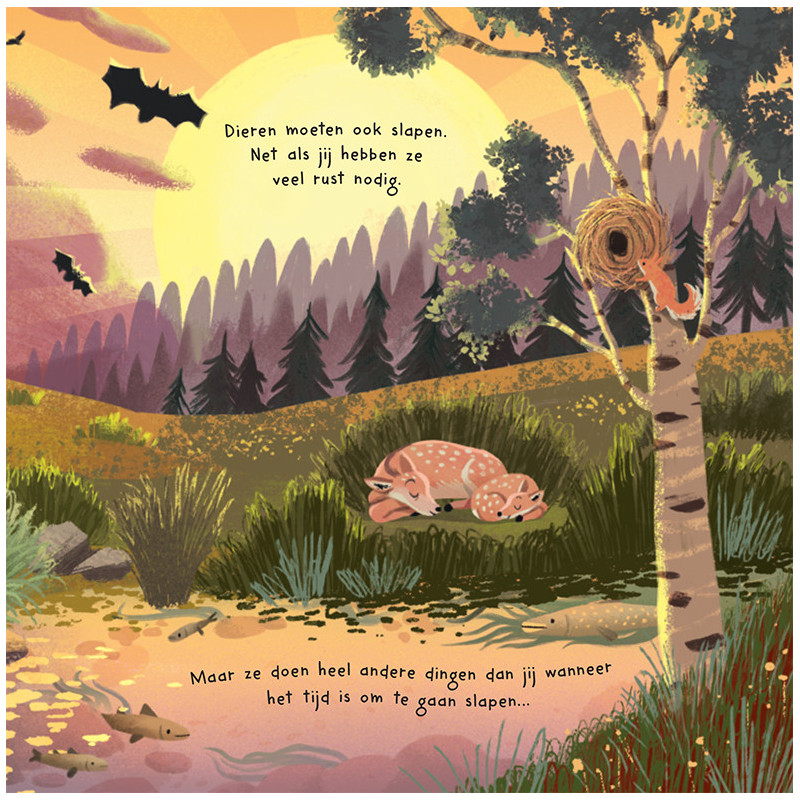 Tijd om te gaan slapen, dieren!
