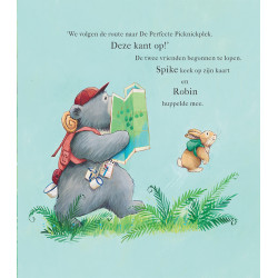 Dit was niet het plan