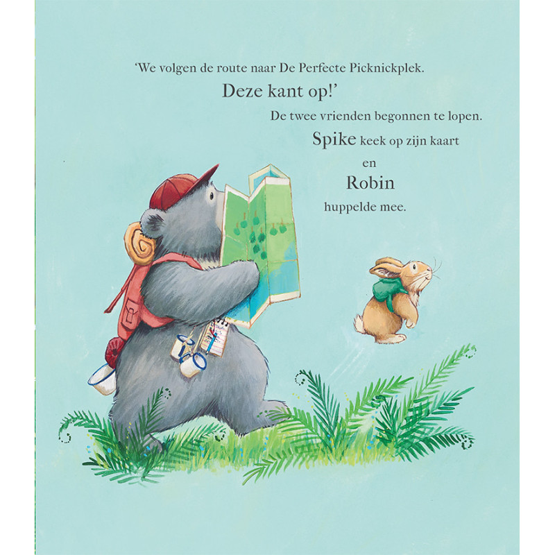 Dit was niet het plan