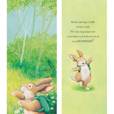 Dit was niet het plan