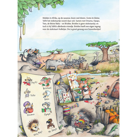 Het grote Tafiti zoekboek