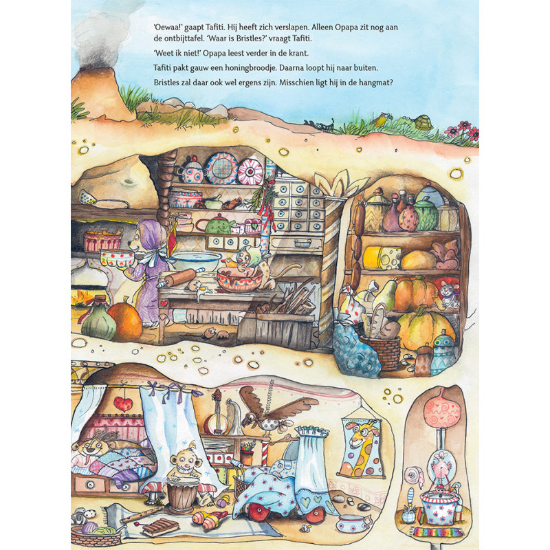 Het grote Tafiti zoekboek