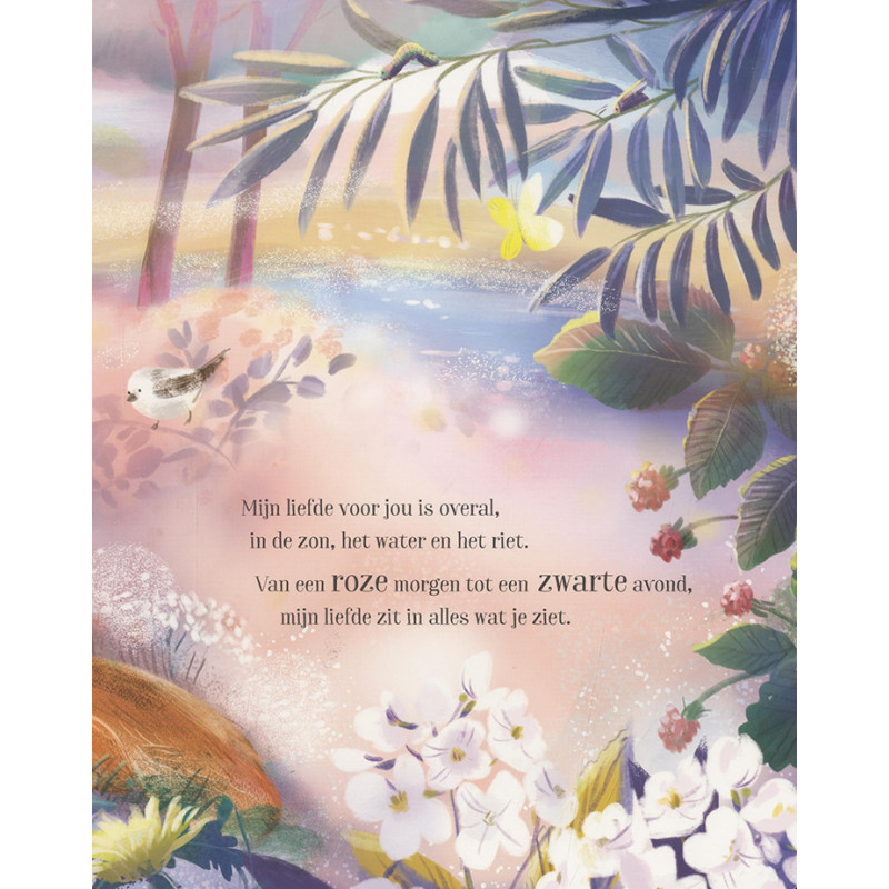 De kleuren van mijn liefde