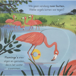 Vogels - voor kleine ontdekkingsreizigers