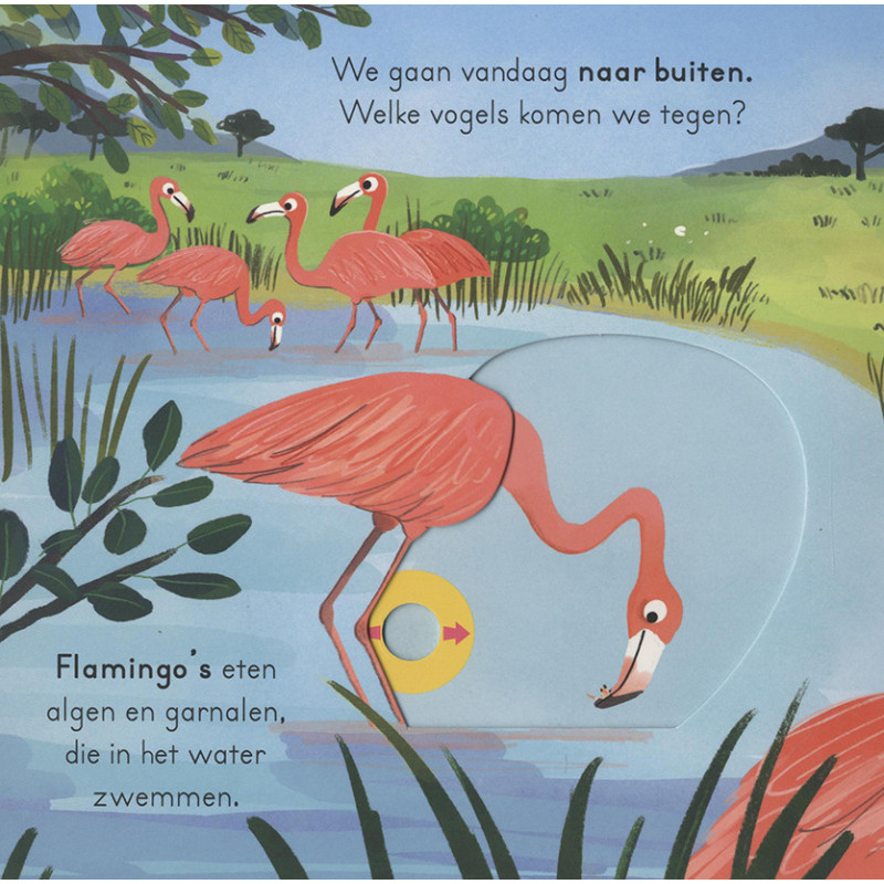 Vogels - voor kleine ontdekkingsreizigers