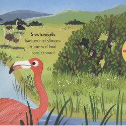 Vogels - voor kleine ontdekkingsreizigers