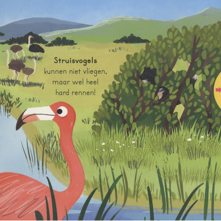 Vogels - voor kleine ontdekkingsreizigers