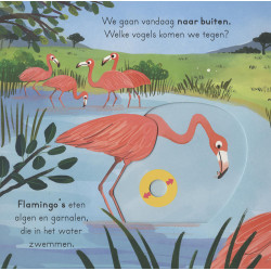 Vogels - voor kleine ontdekkingsreizigers