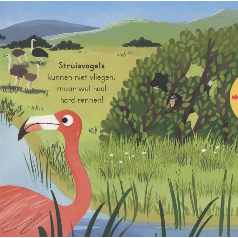 Vogels - voor kleine ontdekkingsreizigers