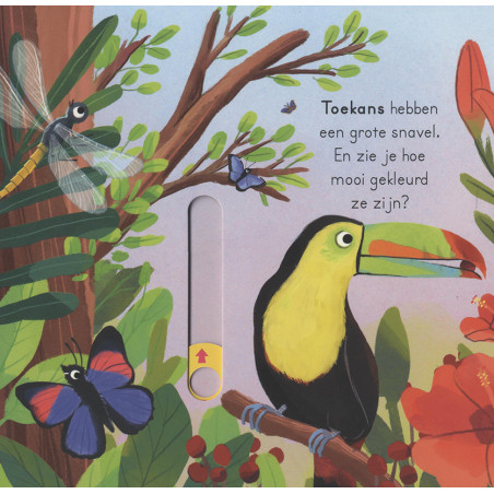 Vogels - voor kleine ontdekkingsreizigers