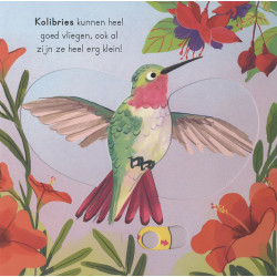 Vogels - voor kleine ontdekkingsreizigers