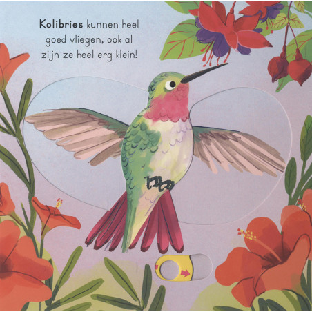 Vogels - voor kleine ontdekkingsreizigers