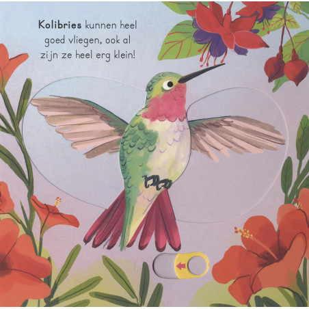 Vogels - voor kleine ontdekkingsreizigers