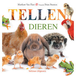 Dieren - tellen
