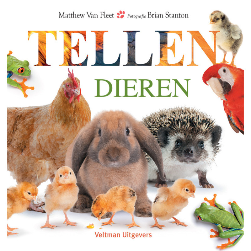 Dieren - tellen