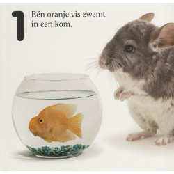 Dieren - tellen