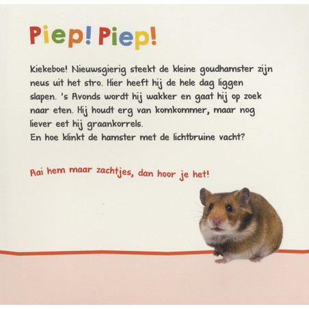 Welk dier hoor ik hier? - Nachtdieren