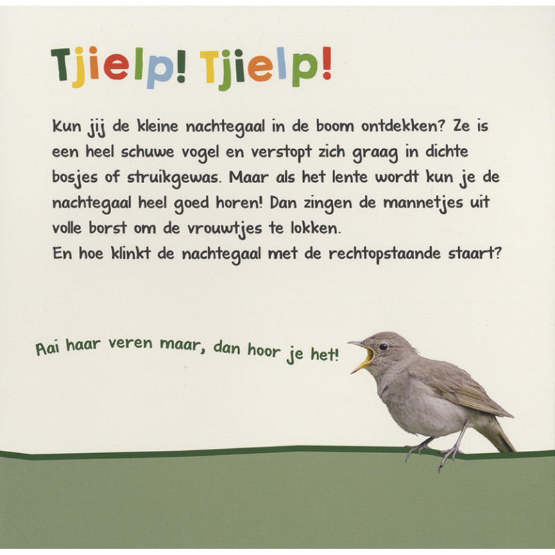 Welk dier hoor ik hier? - Nachtdieren