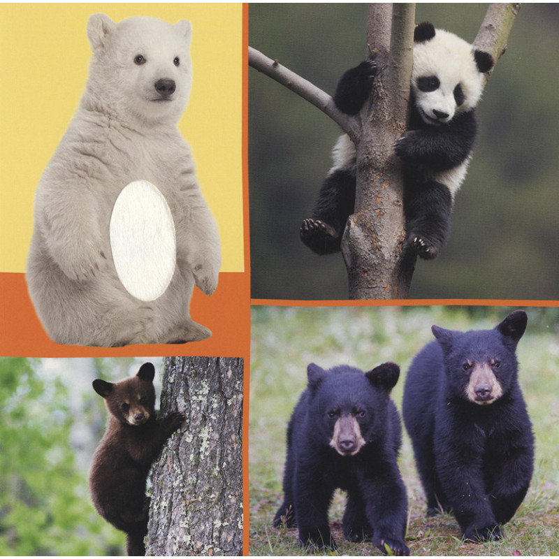 Welk dier hoor ik hier? - Troeteldieren