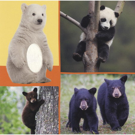 Welk dier hoor ik hier? - Troeteldieren
