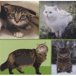 Welk dier hoor ik hier? - Troeteldieren