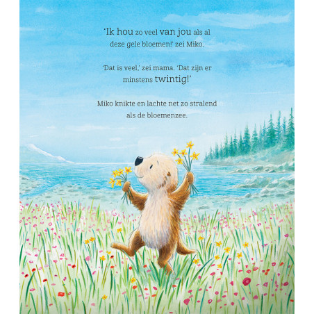 Ik hou ontelbaar veel van jou
