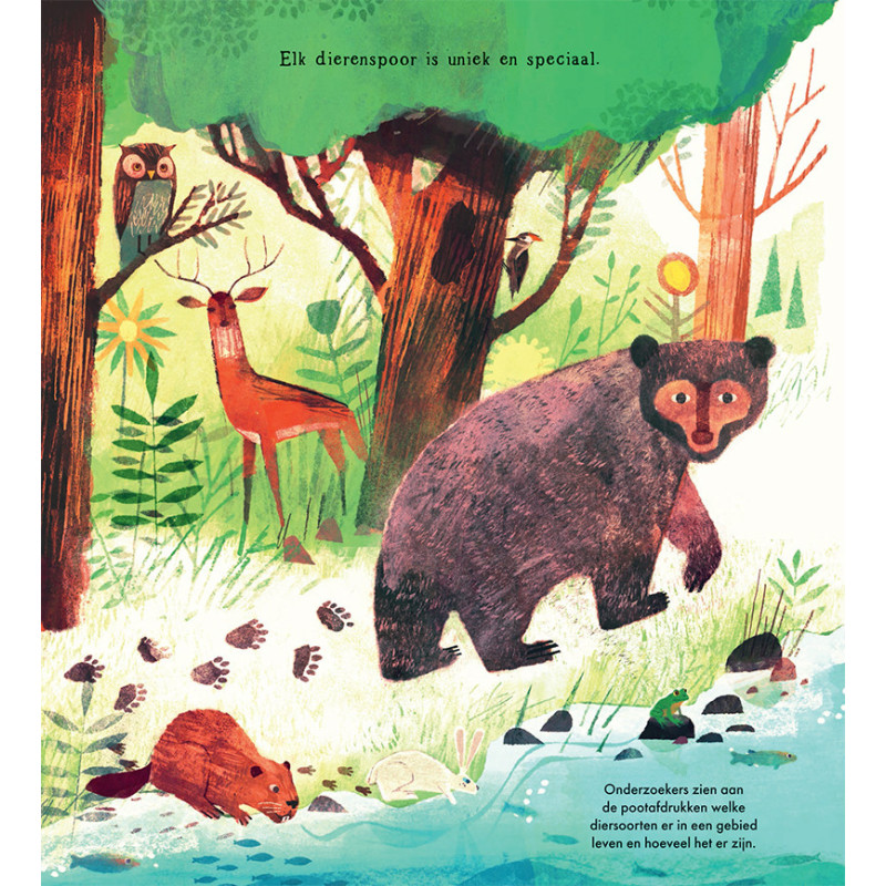 In het spoor van wilde dieren