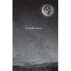 In het spoor van de legende - De munt van Wicklow