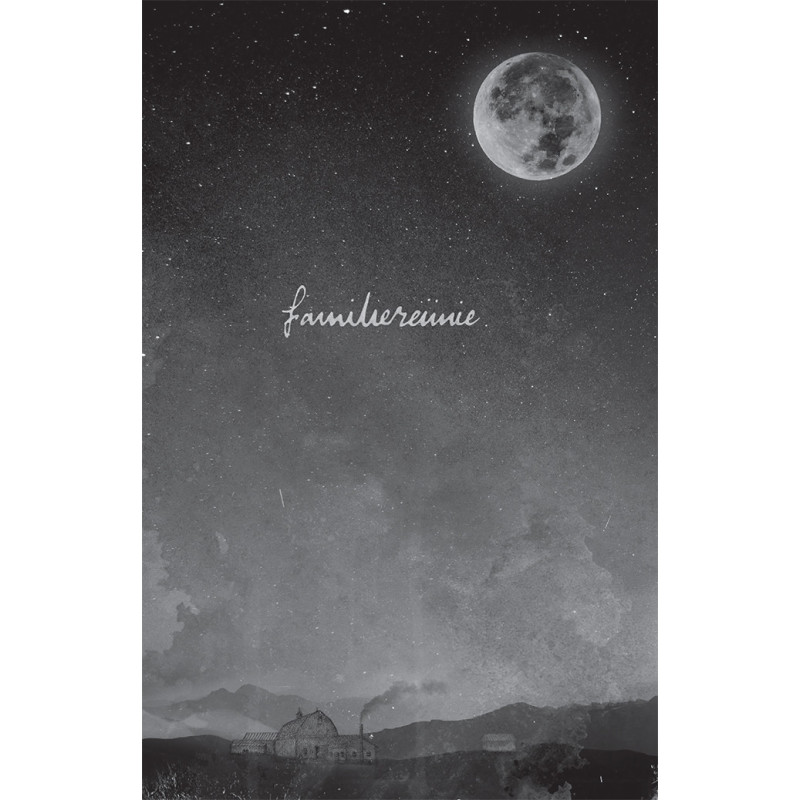 In het spoor van de legende - De munt van Wicklow