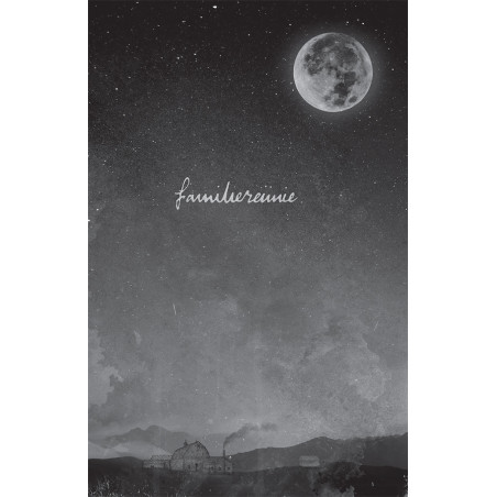 In het spoor van de legende - De munt van Wicklow