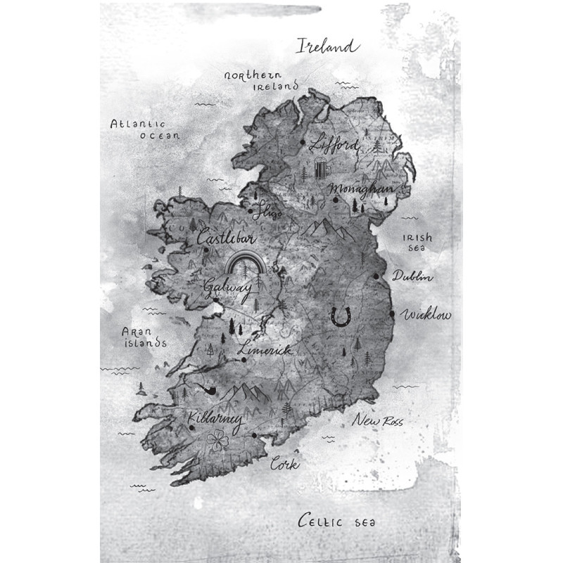 In het spoor van de legende - De munt van Wicklow