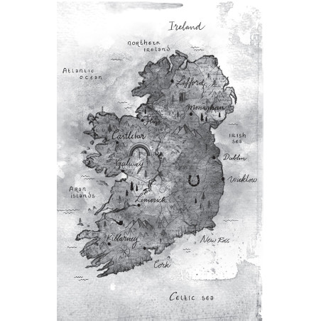 In het spoor van de legende - De munt van Wicklow