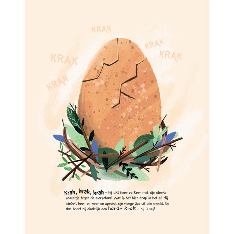 Zit ik in het verkeerde nest?