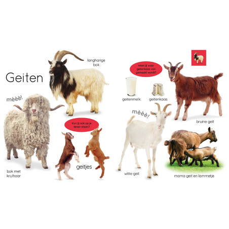 Mijn eerste boerderijboek