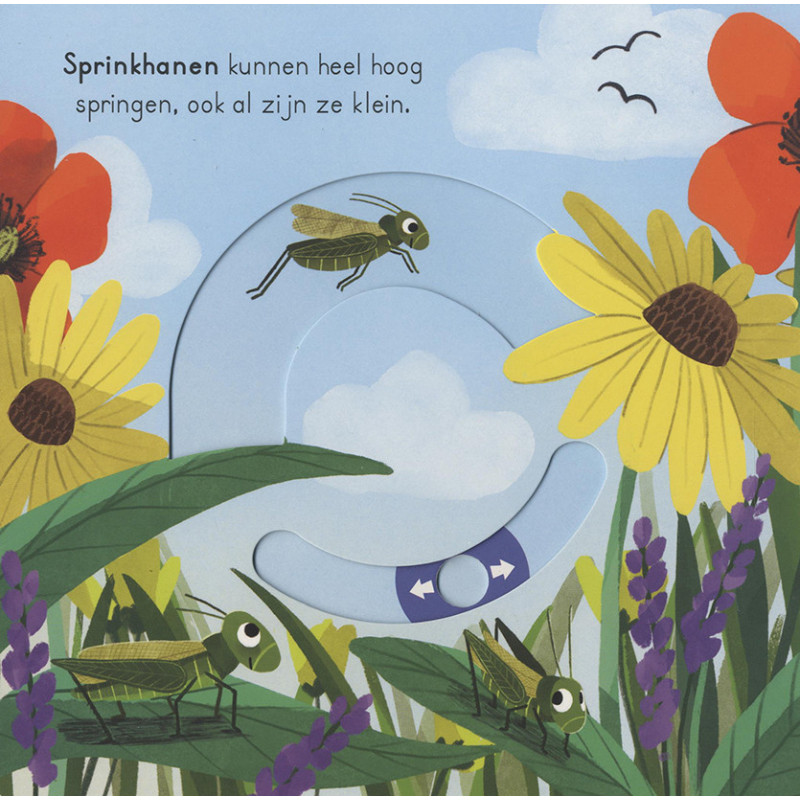 Minibeestjes - voor kleine ontdekkingsreizigers