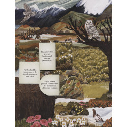 Zoek & vind - in de ijskoude wildernis
