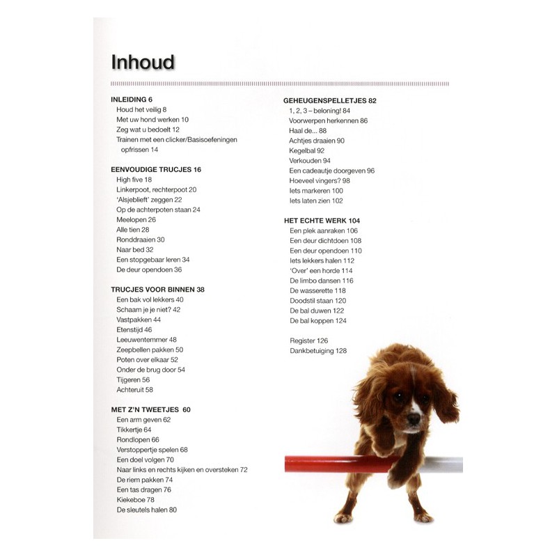 50 hondentrucjes