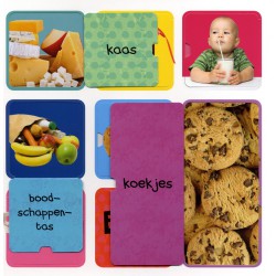Mijn eerste flapjesboek 100 woorden