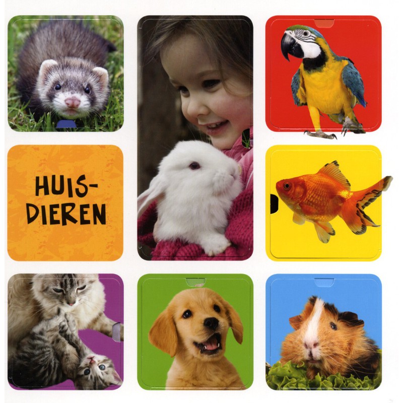 Mijn eerste flapjesboek 100 woorden