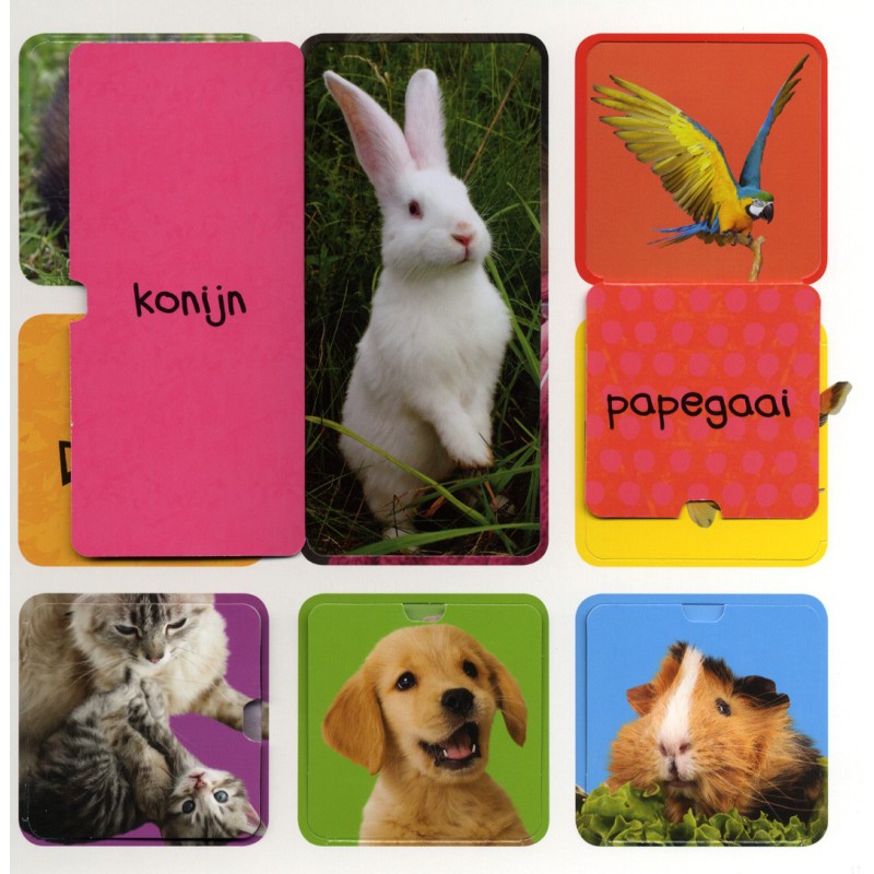 Mijn eerste flapjesboek 100 woorden
